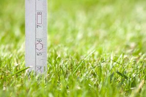 The importance of mowing your grass to the proper height